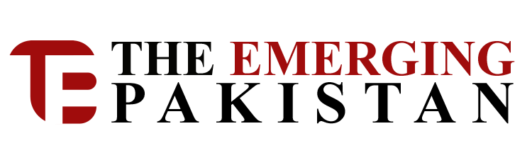 theemergingpakistan.com